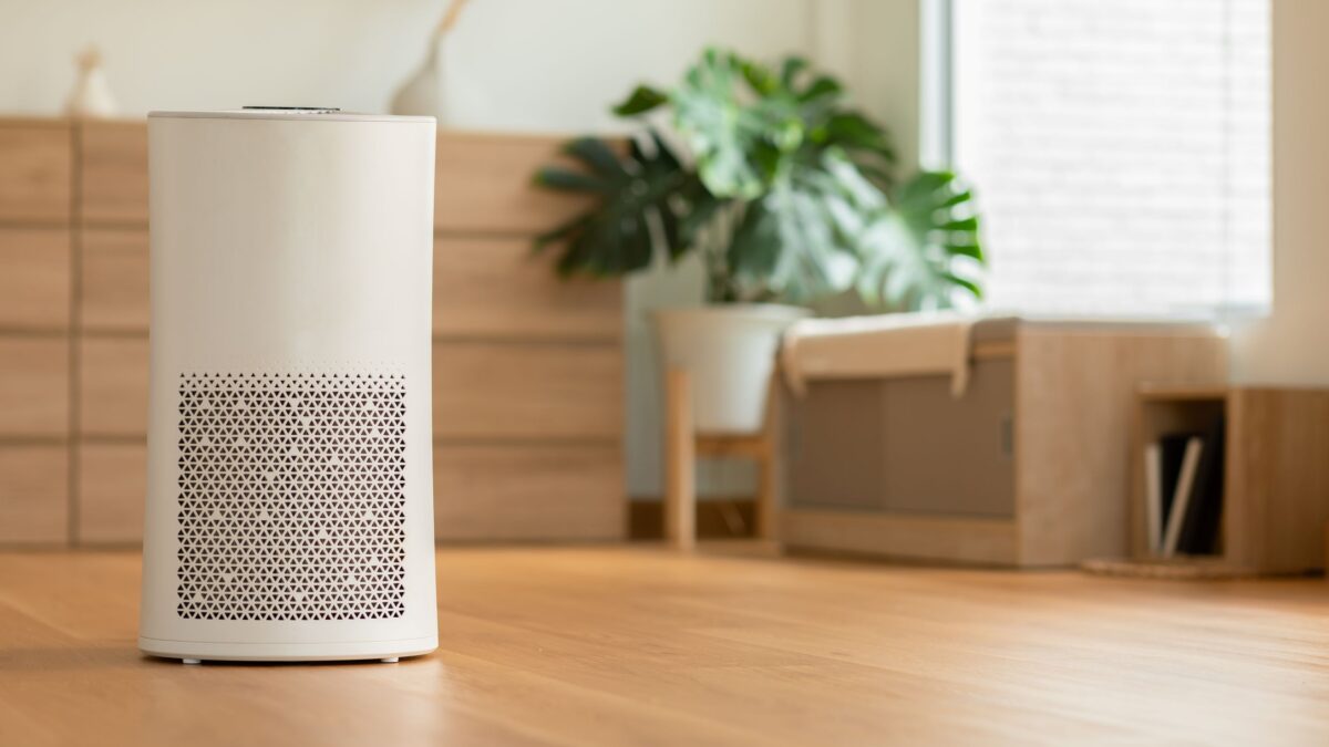 Learn about the best indoor air purification systems on our blog.